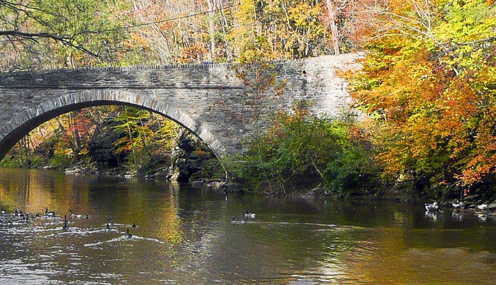 scenic view of a bridge surrounded by autumn trees, the bridge stretches over a pond with ducks gliding on the surface